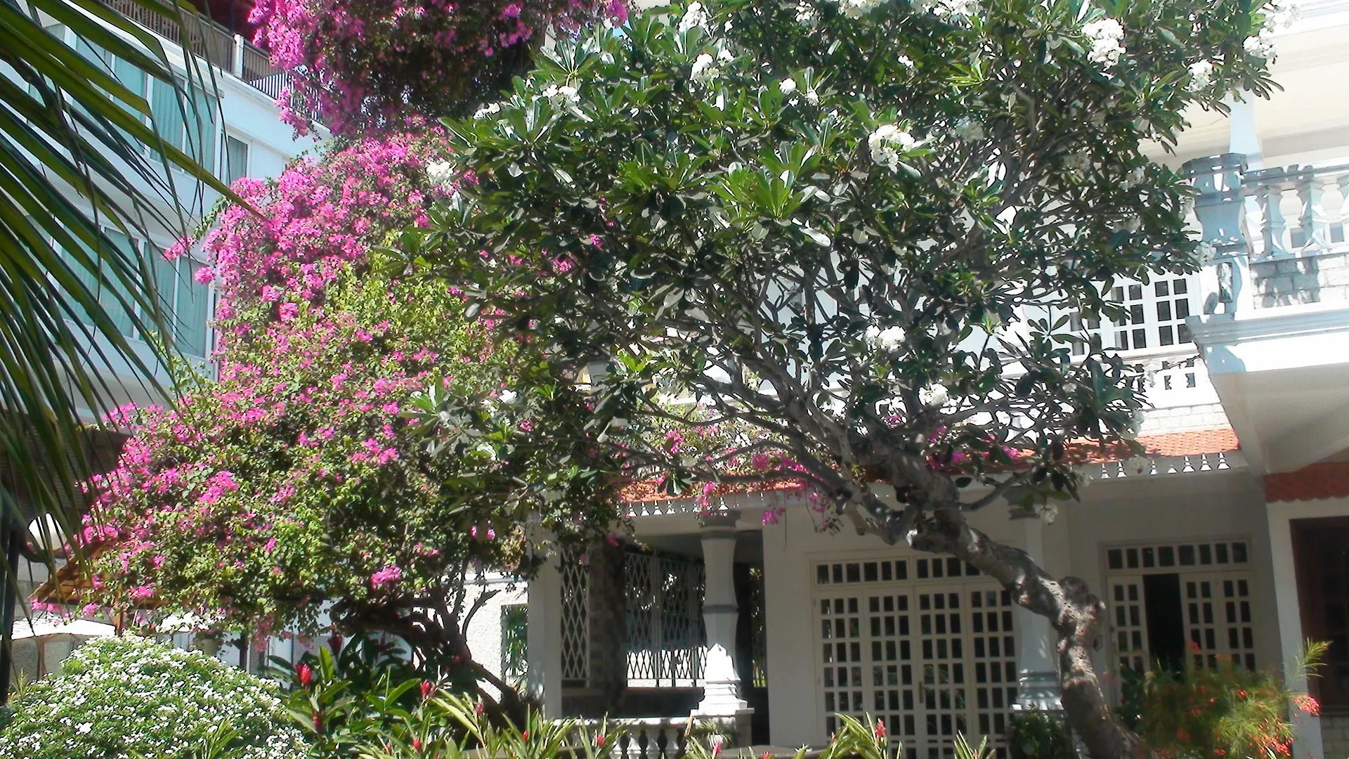 Valley Mountain Hotel Vung Tau